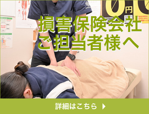 損害保険会社ご担当者様へ